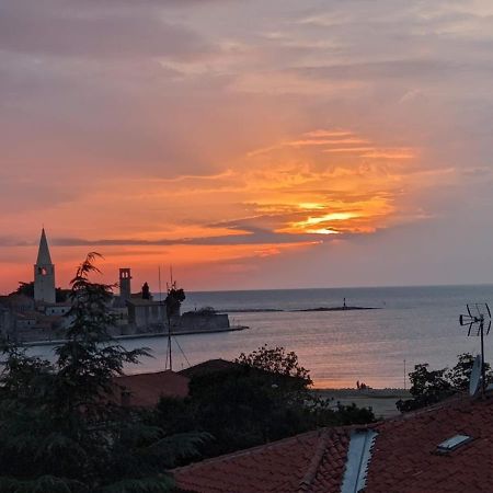 Studio D Poreč Dış mekan fotoğraf